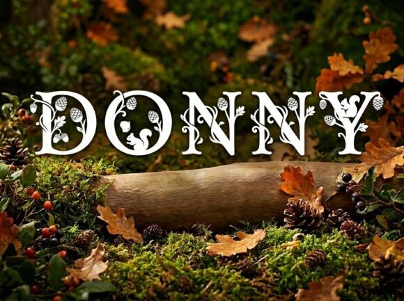 Donny: The Bold Display Typeface for Creative Impact