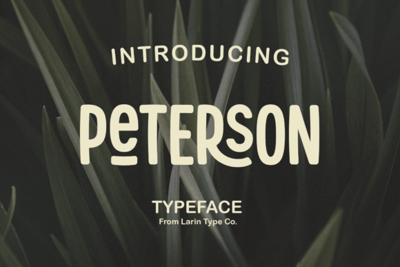 Peterson: A Sans Serif That Tells Your Story